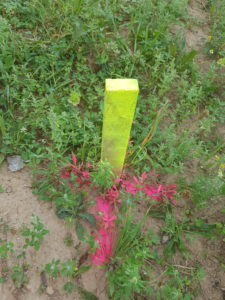 Grobabsteckung